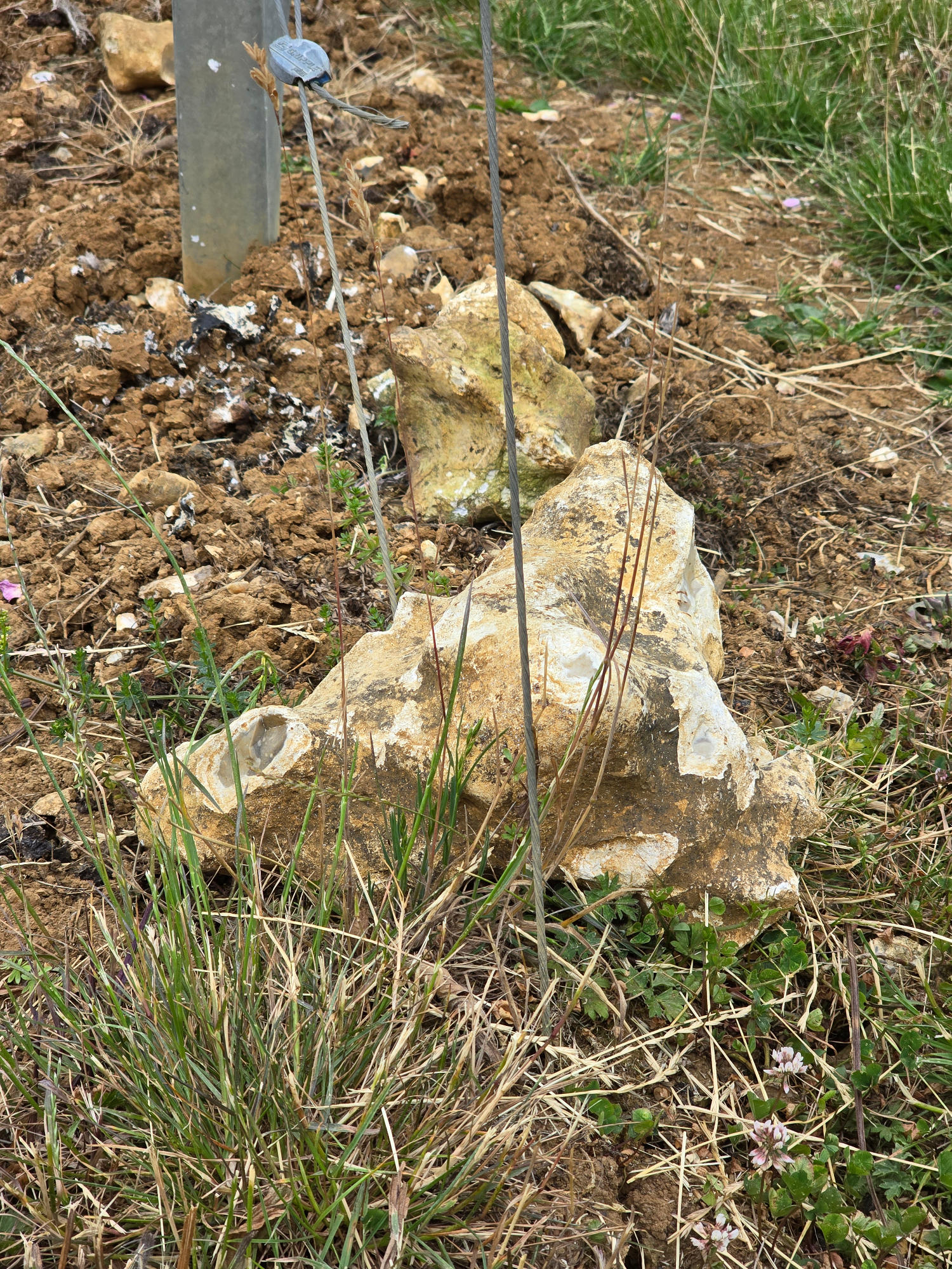 'Hampshire Diamonds' aka flint at Hattingley Valley Hampshire Diamonds